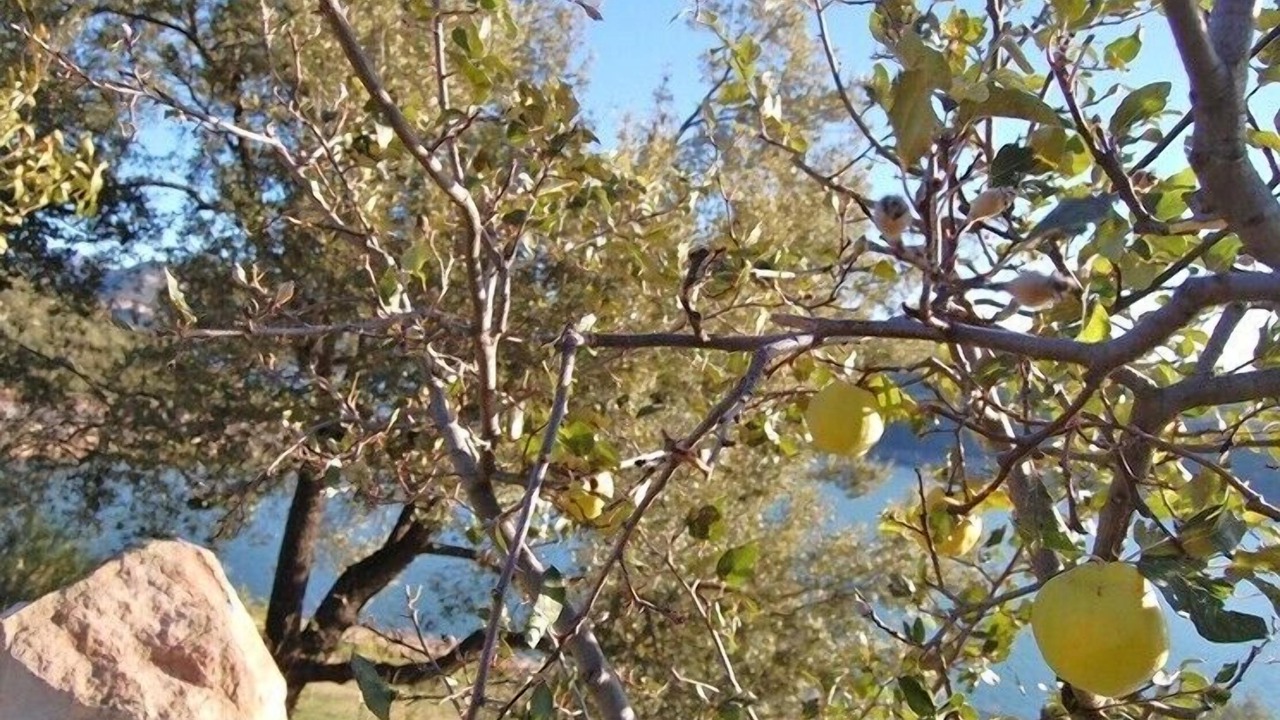 Photo of Others in Ponts