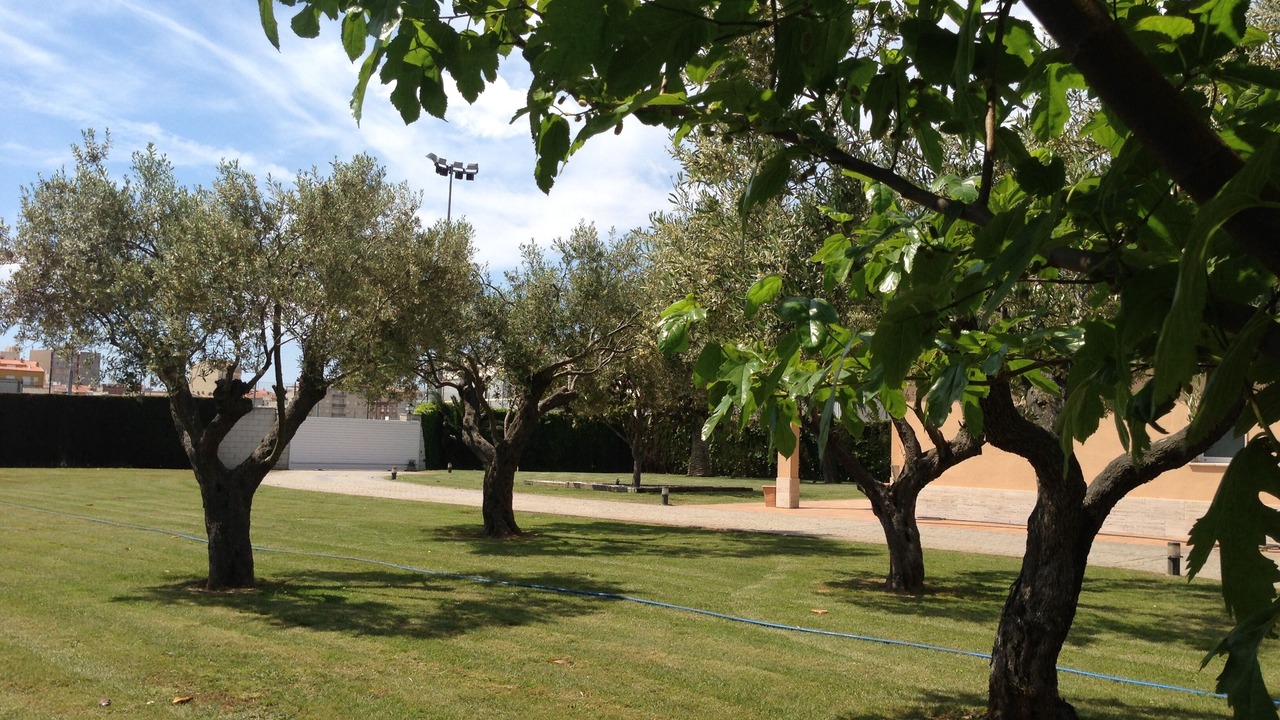 Photo of Outdoor in Calonge