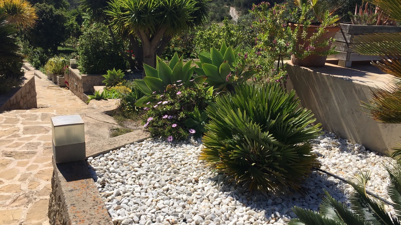 Photo of Outdoor in San Juan Bautista
