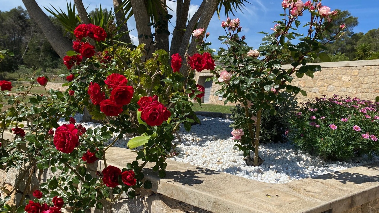 Photo of Outdoor in San Juan Bautista