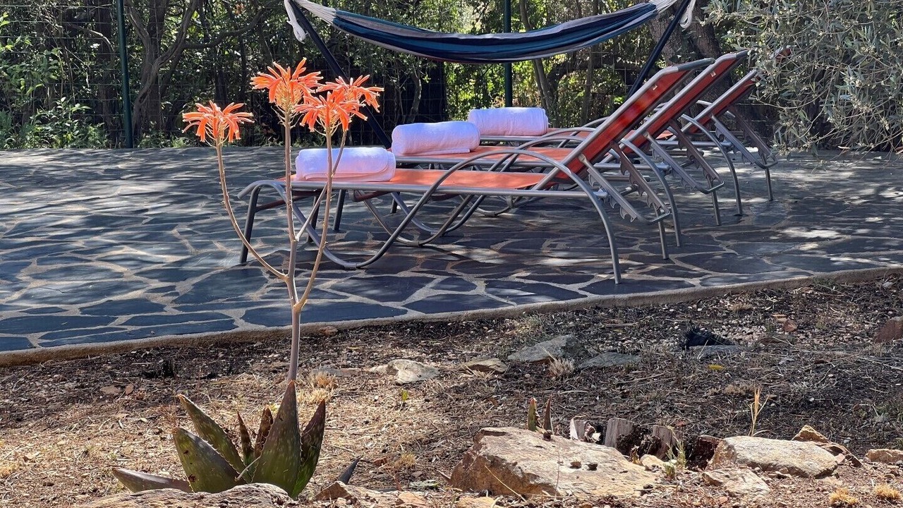 Photo of Outdoor in El Mas Fumats