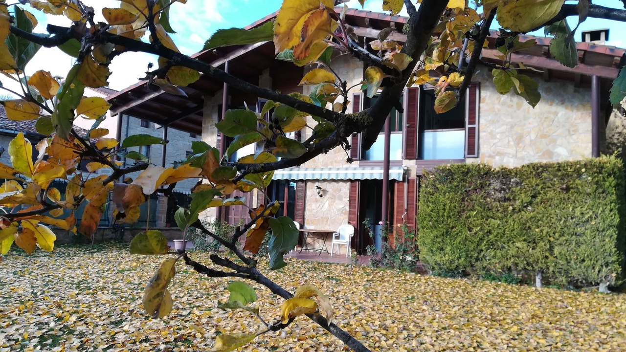 Photo of Outdoor in Sajazarra