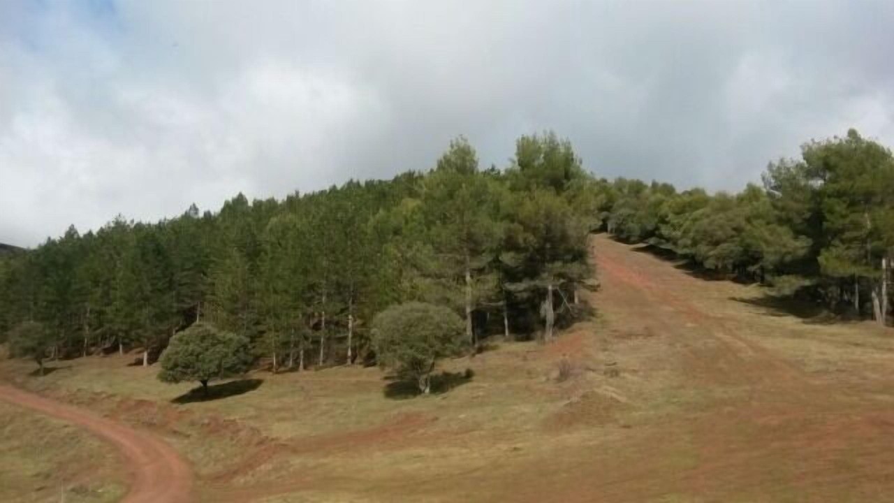 Photo of Outdoor in Banos de Rio Tobia