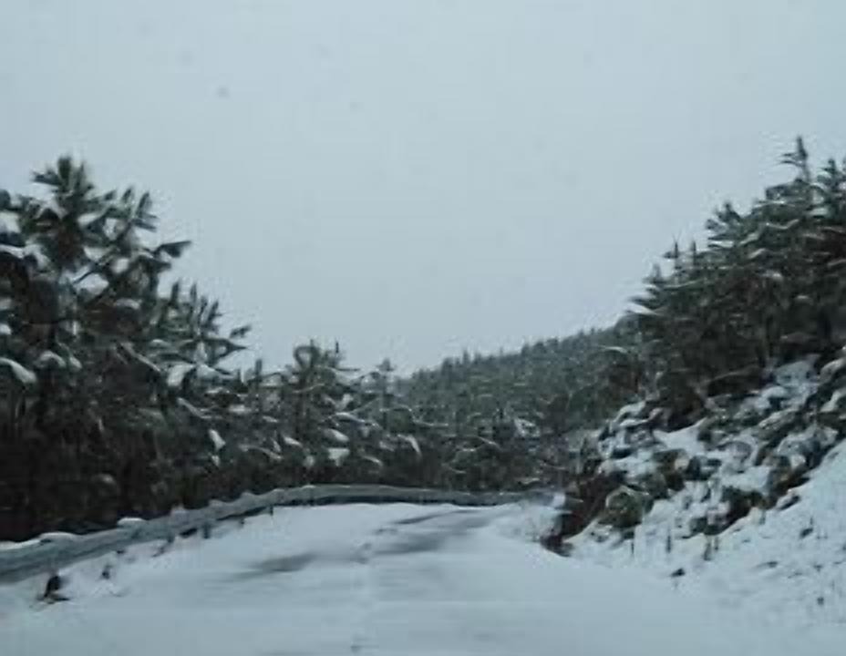 Photo of Outdoor in Pinofranqueado
