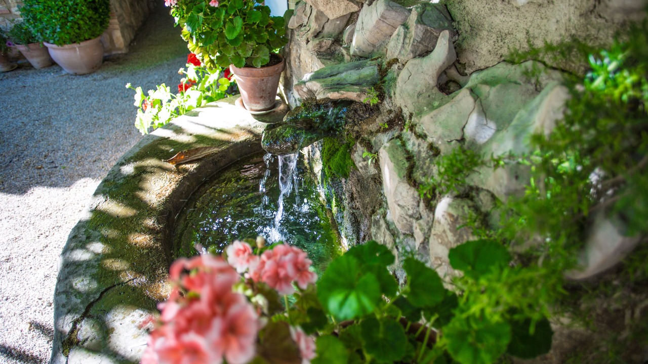 Photo of Outdoor in Cazorla