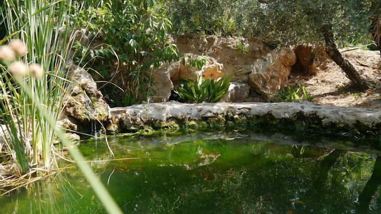 Photo of Outdoor in Cazorla