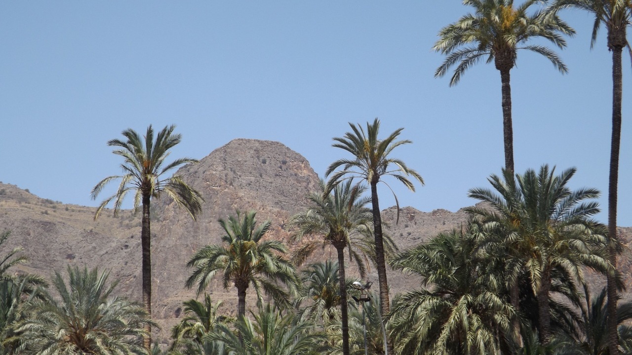 Photo of Outdoor in Orihuela Costa