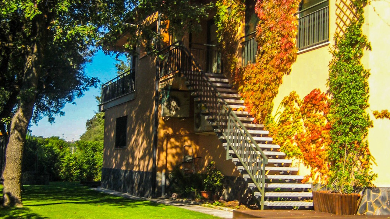 Photo of Outdoor in Quart
