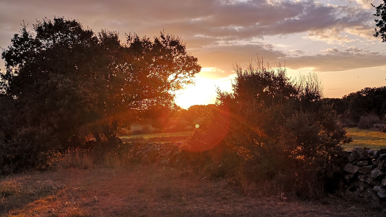 Photo of Others in Villar de Corneja
