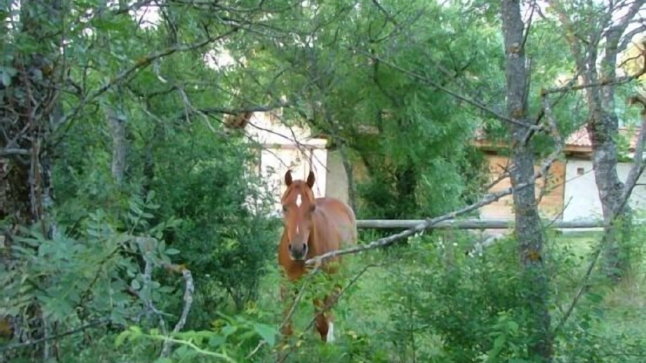 Photo of Outdoor in Ortigosa del Monte