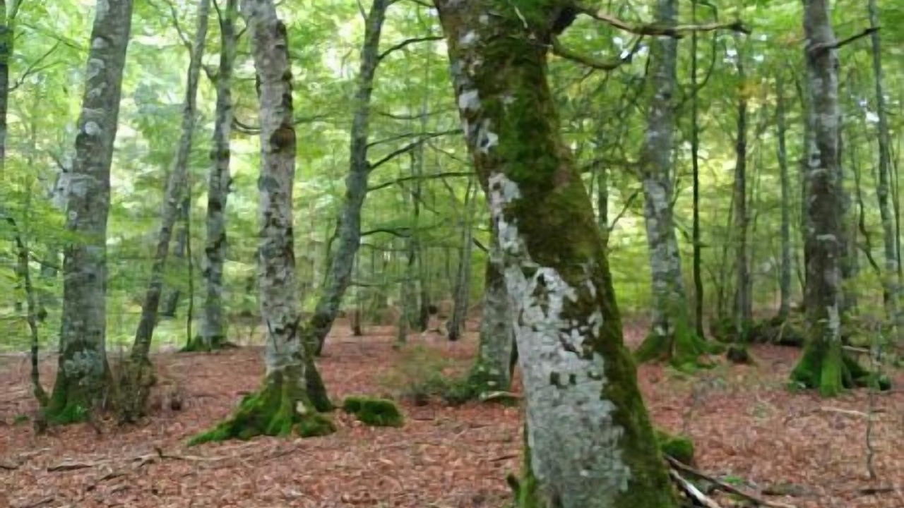 Photo of Outdoor in Amillano