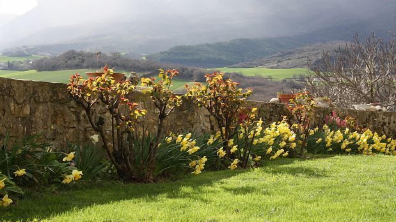 Photo of Outdoor in Amillano