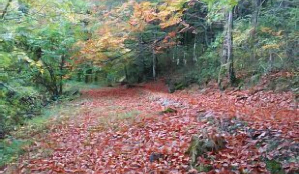 Photo of Outdoor in Amillano