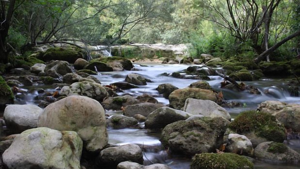 Photo of Outdoor in Amillano