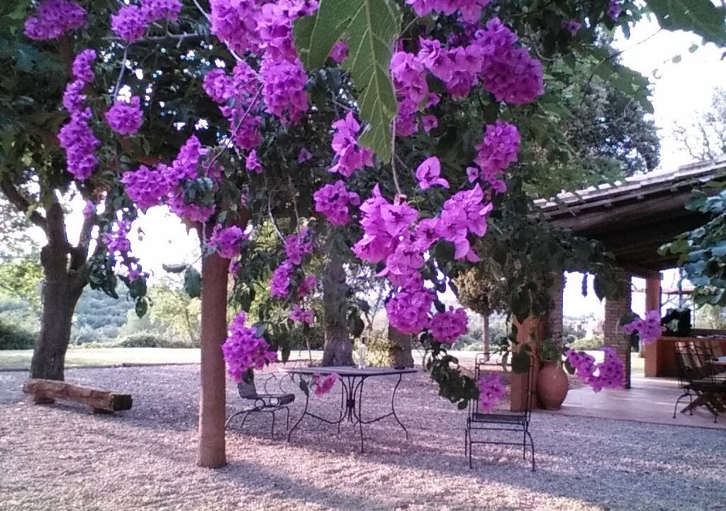 Photo of Outdoor in Vilademuls