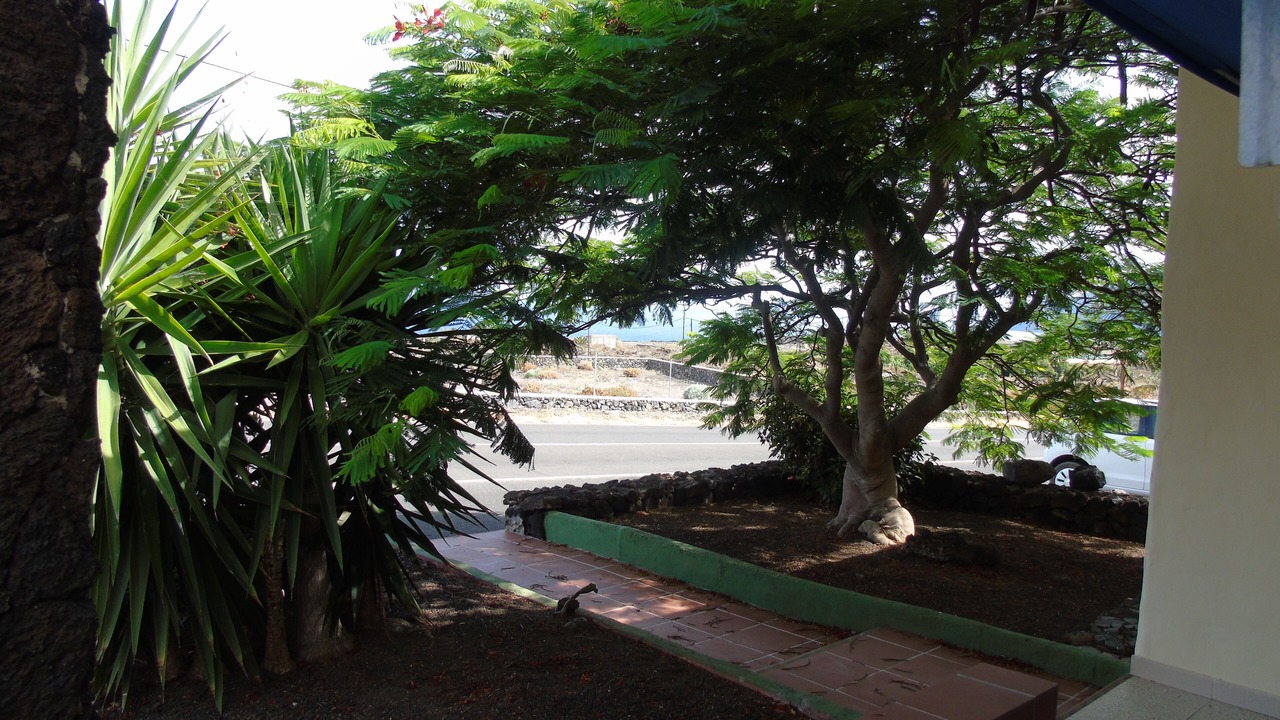 Photo of Outdoor in Frontera