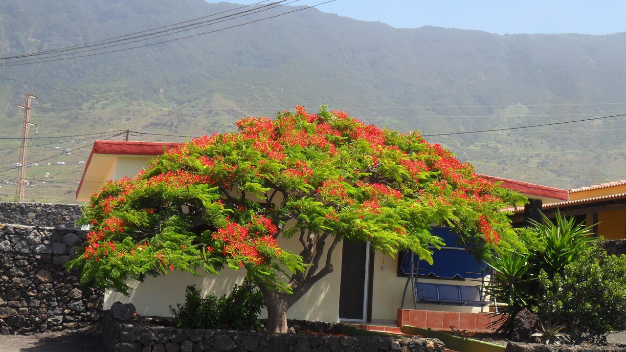 Photo of Outdoor in Frontera
