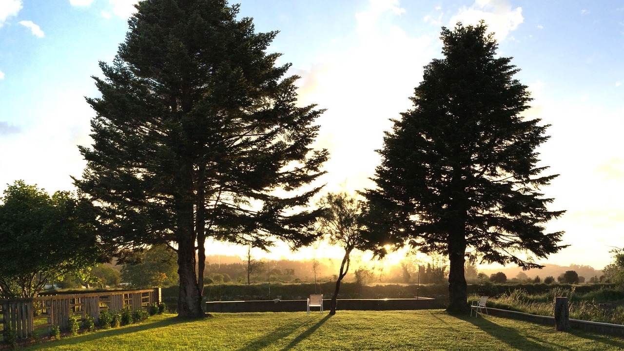 Photo of Outdoor in Ribadesella
