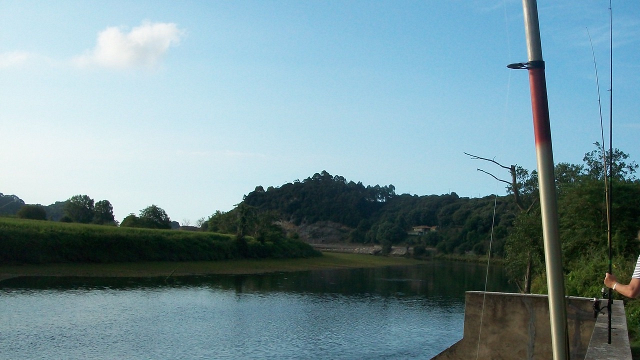 Photo of Others in Ribadesella