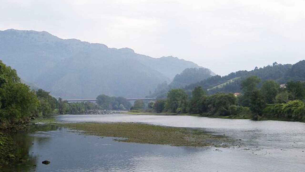 Photo of Others in Ribadesella