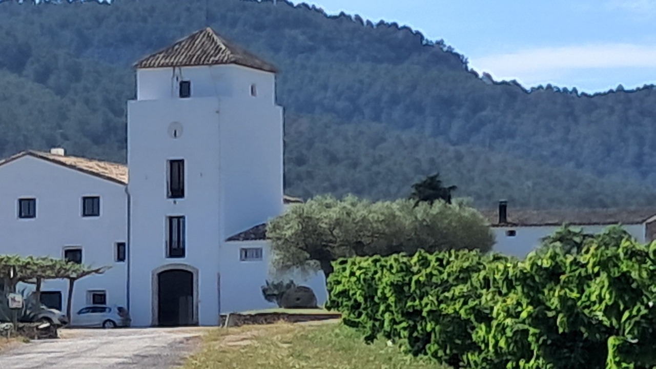 Photo of Outdoor in Tivissa