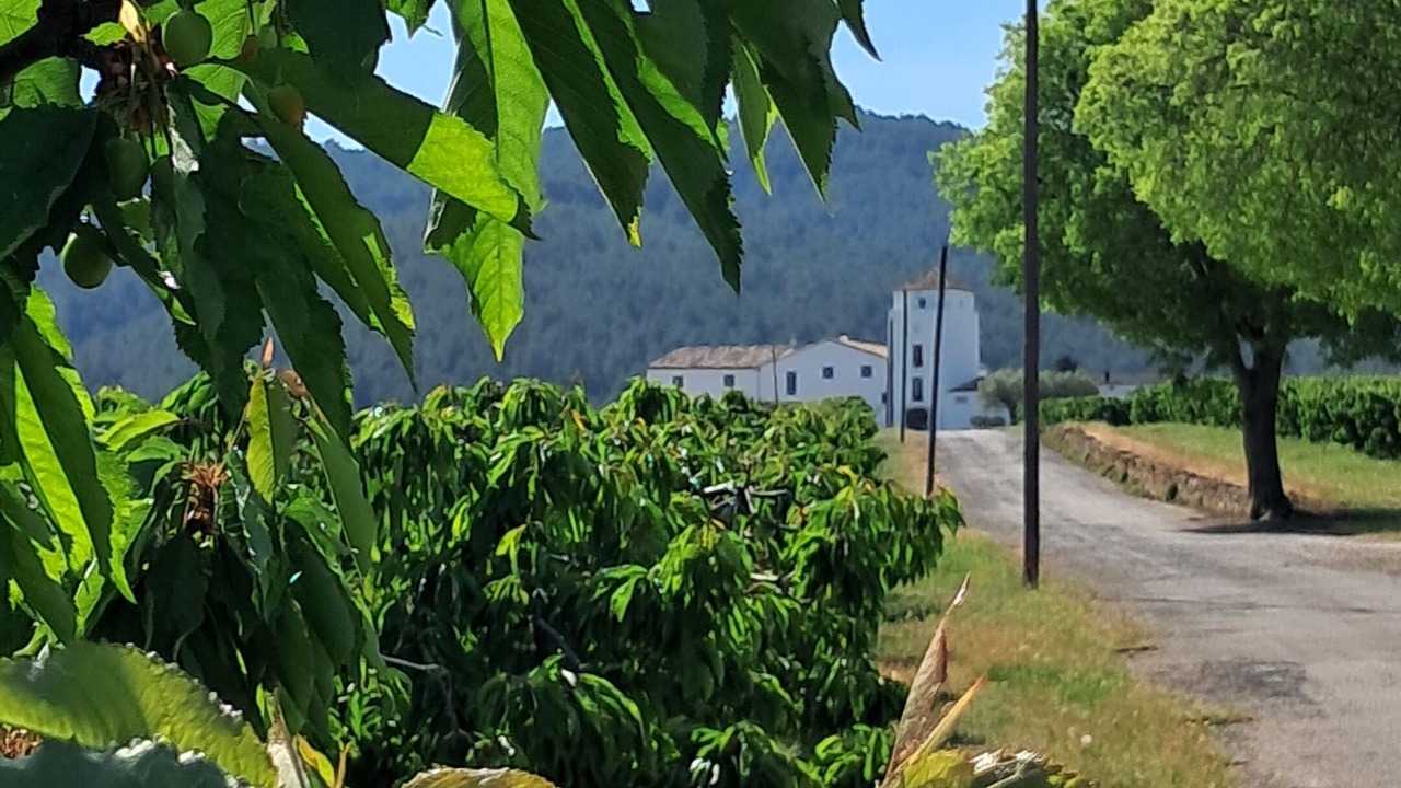 Photo of Outdoor in Tivissa