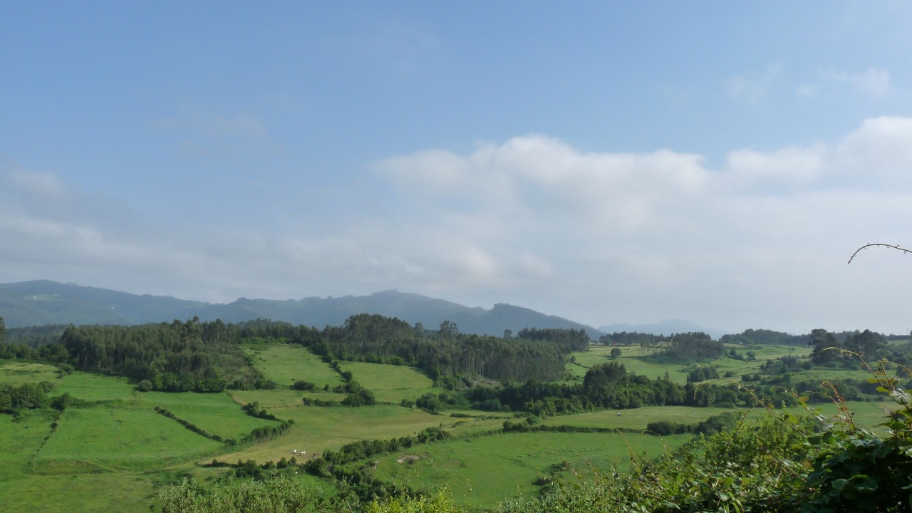 Photo of Others in Aronces