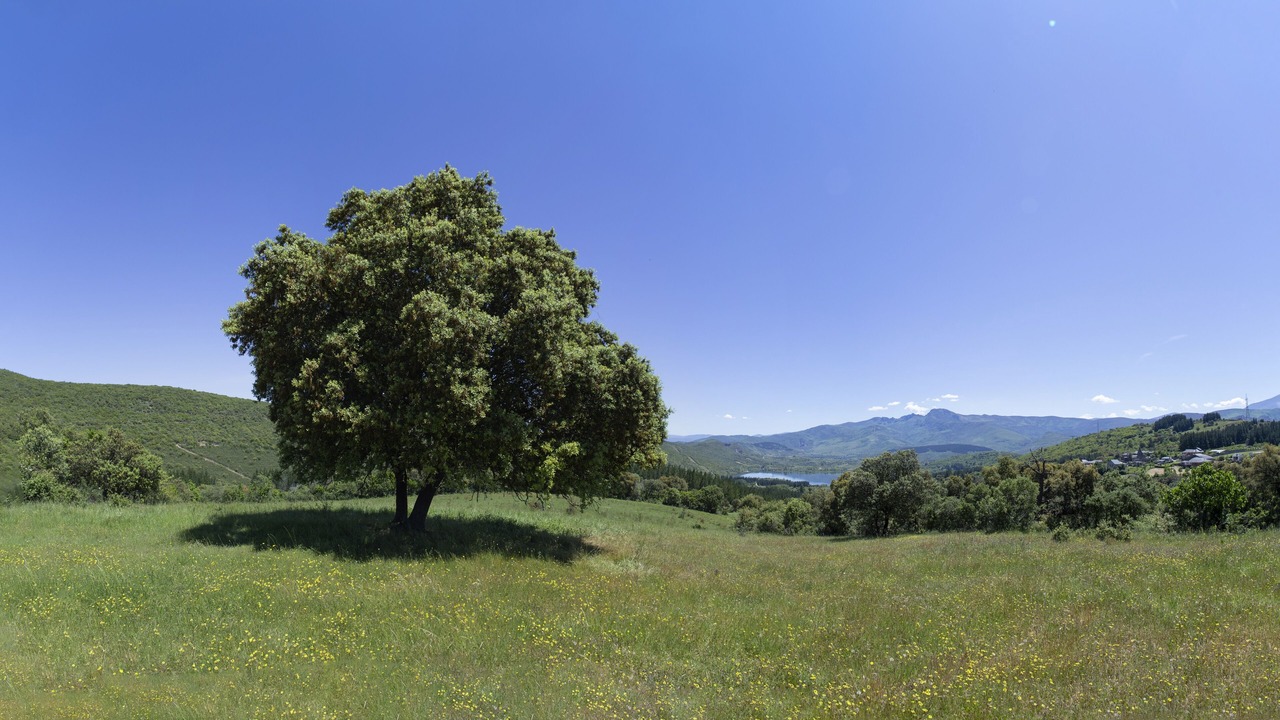 Photo of Others in Carucedo
