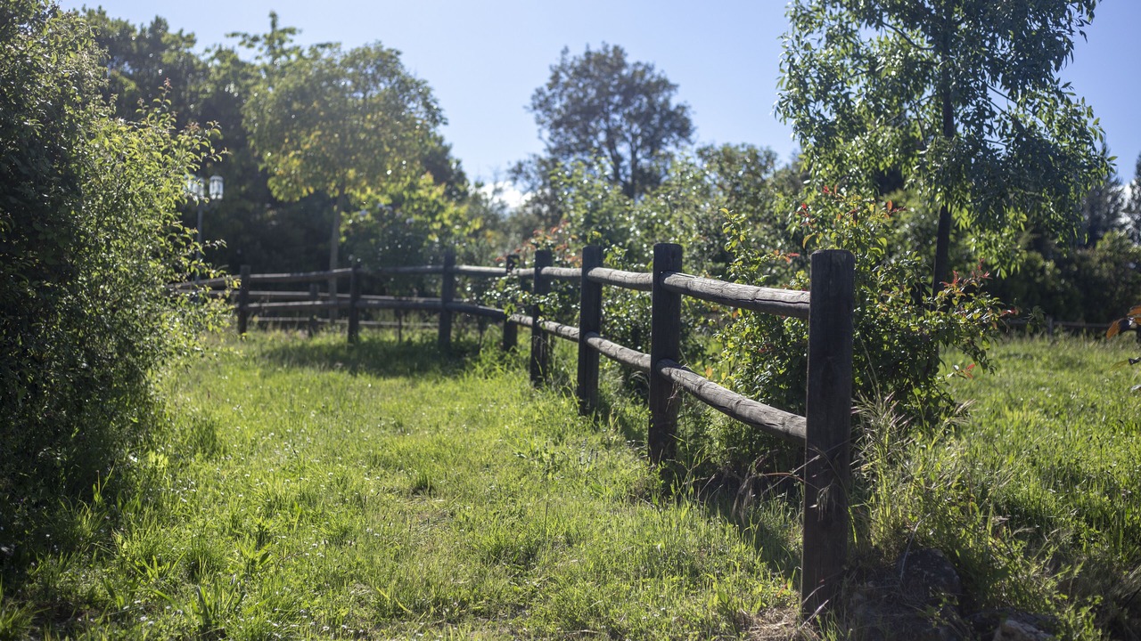 Photo of Outdoor in Carucedo