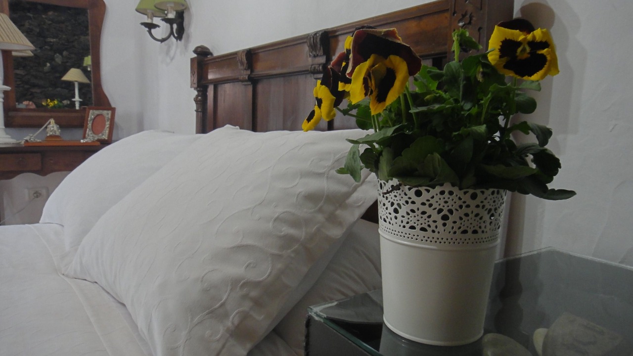 Photo of Bedroom in Candelaria