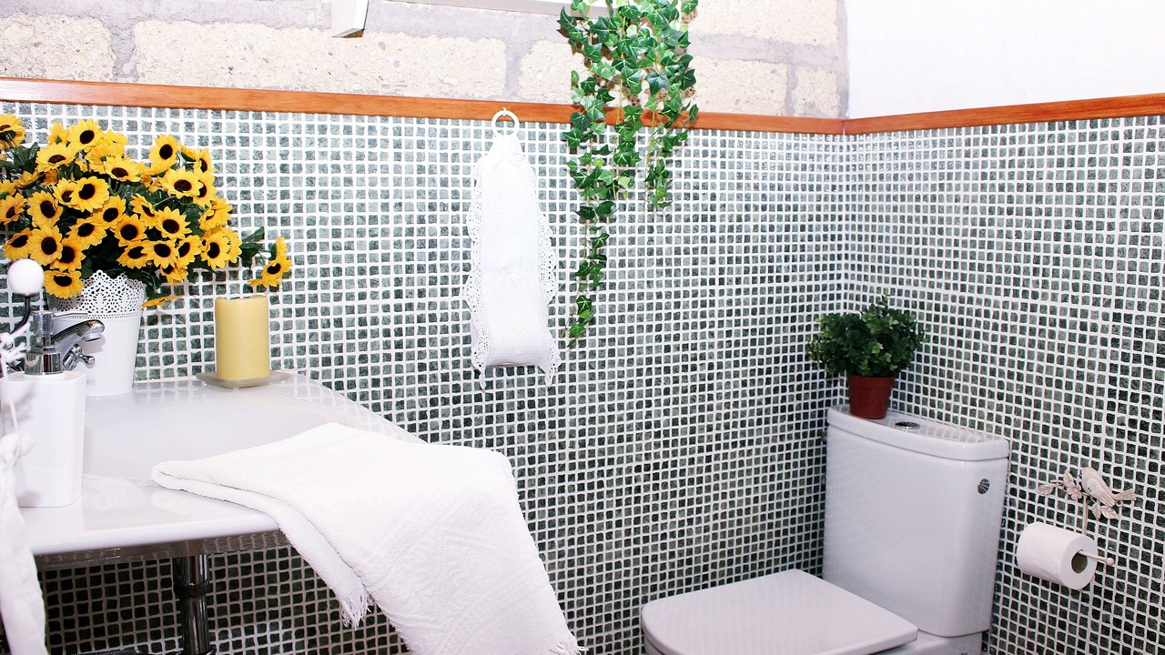 Photo of Bathroom in Candelaria