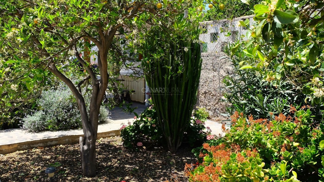 Photo of Outdoor in Las Vegas