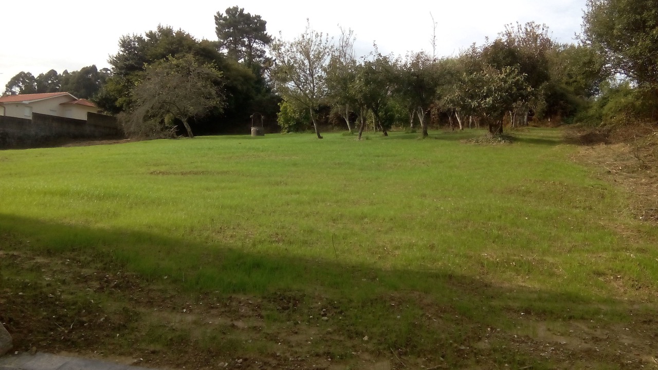 Photo of Outdoor in Betanzos