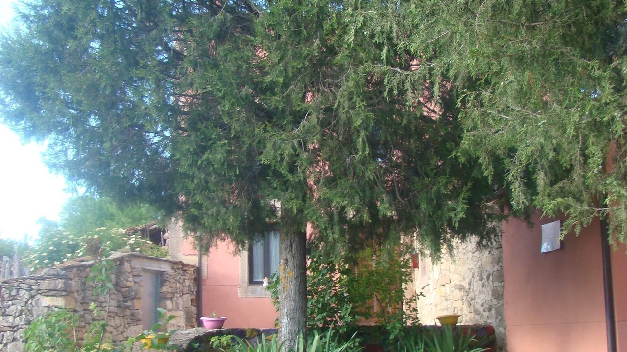 Photo of Outdoor in Sepulveda