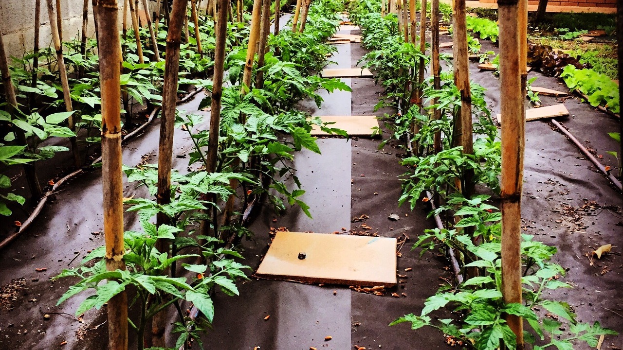 Photo of Outdoor in Vidreres