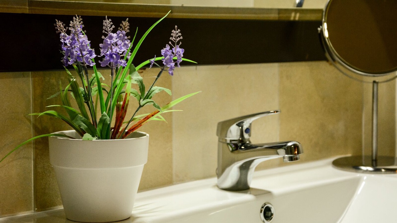 Photo of Bathroom in Hervas