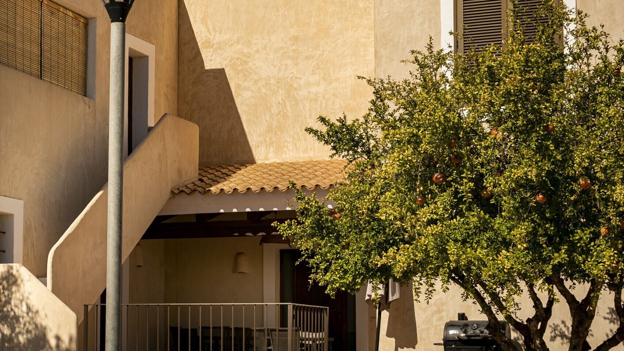 Photo of Others in Sant Francesc Xavier