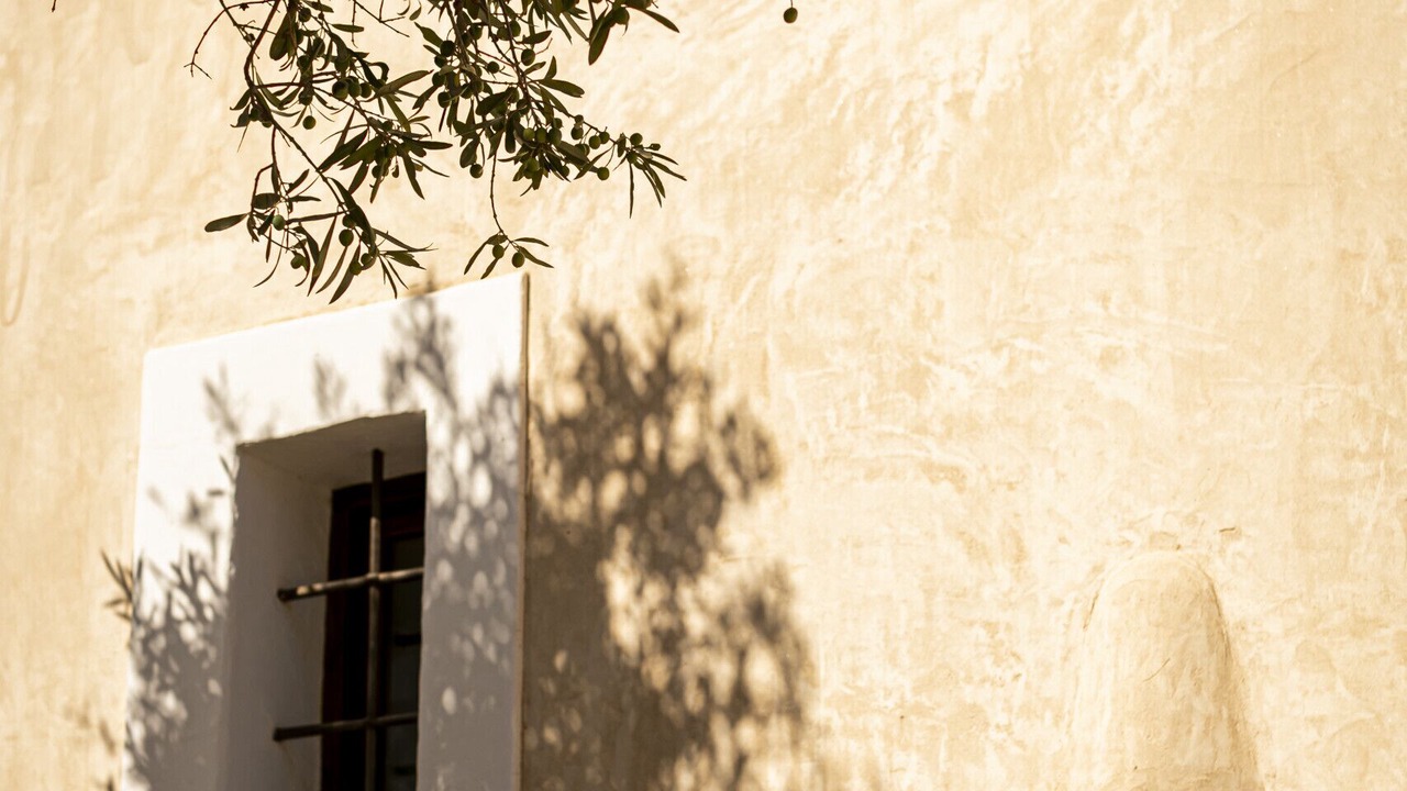 Photo of Others in Sant Francesc Xavier