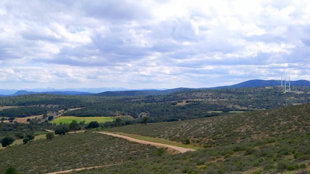 Photo of Outdoor in Alcadozo