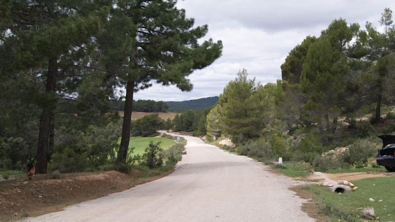 Photo of Outdoor in Alcadozo