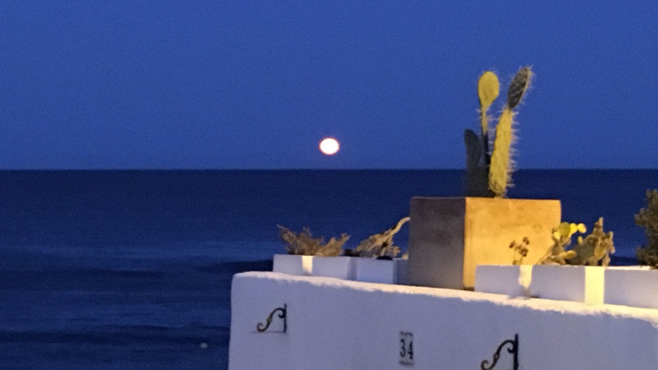 Photo of Others in La Isleta del Moro