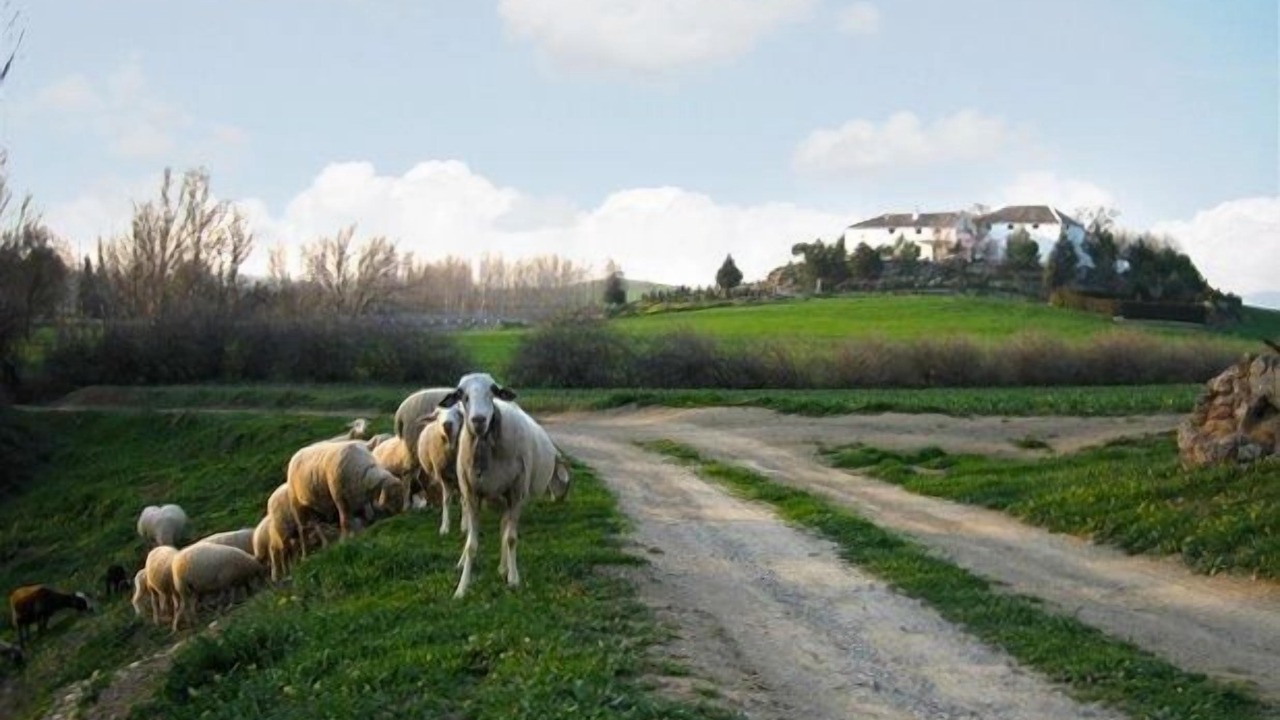 Photo of Outdoor in Alcala la Real