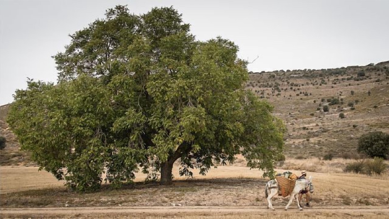 Photo of Outdoor in Utande