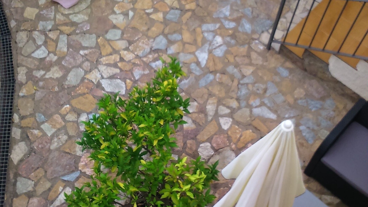 Photo of Outdoor in Calonge