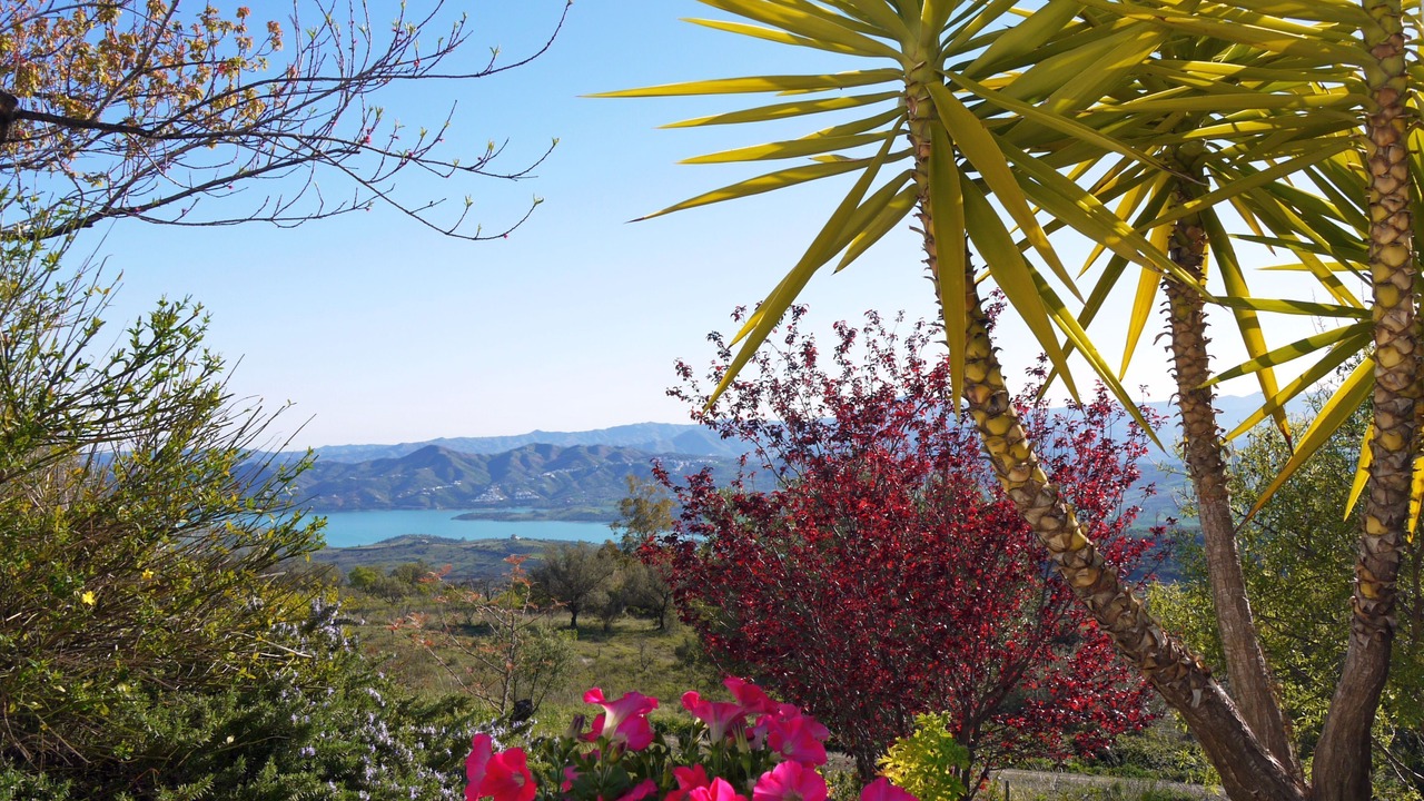 Photo of Outdoor in Alcaucin
