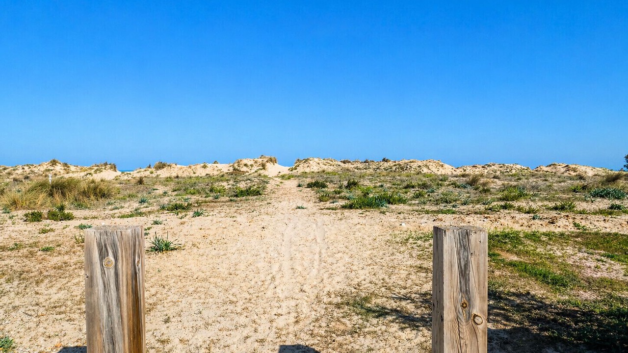 Photo of Others in Molinell