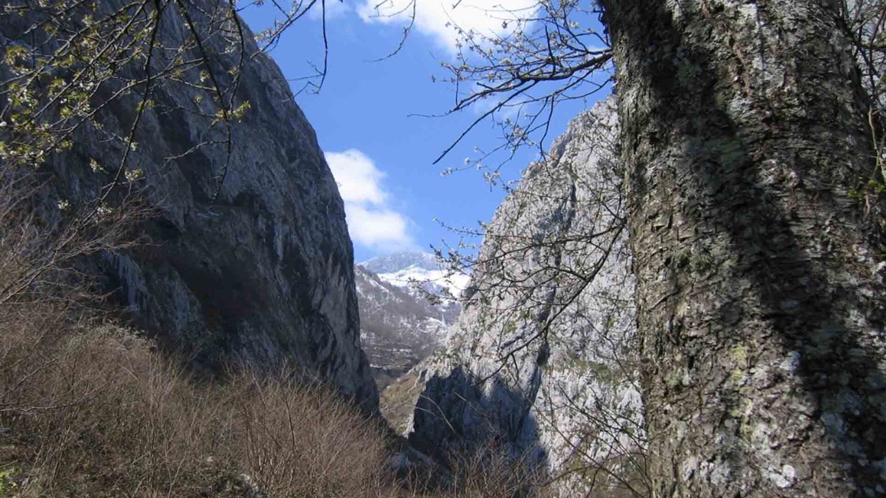 Photo of Outdoor in Ponga
