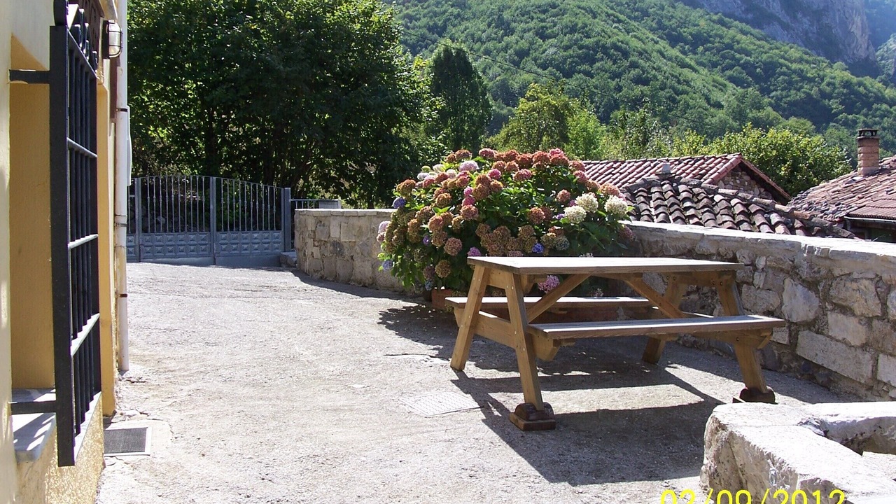 Photo of Outdoor in Ponga
