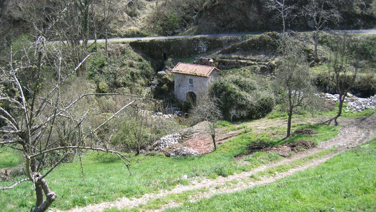 Photo of Outdoor in Ponga