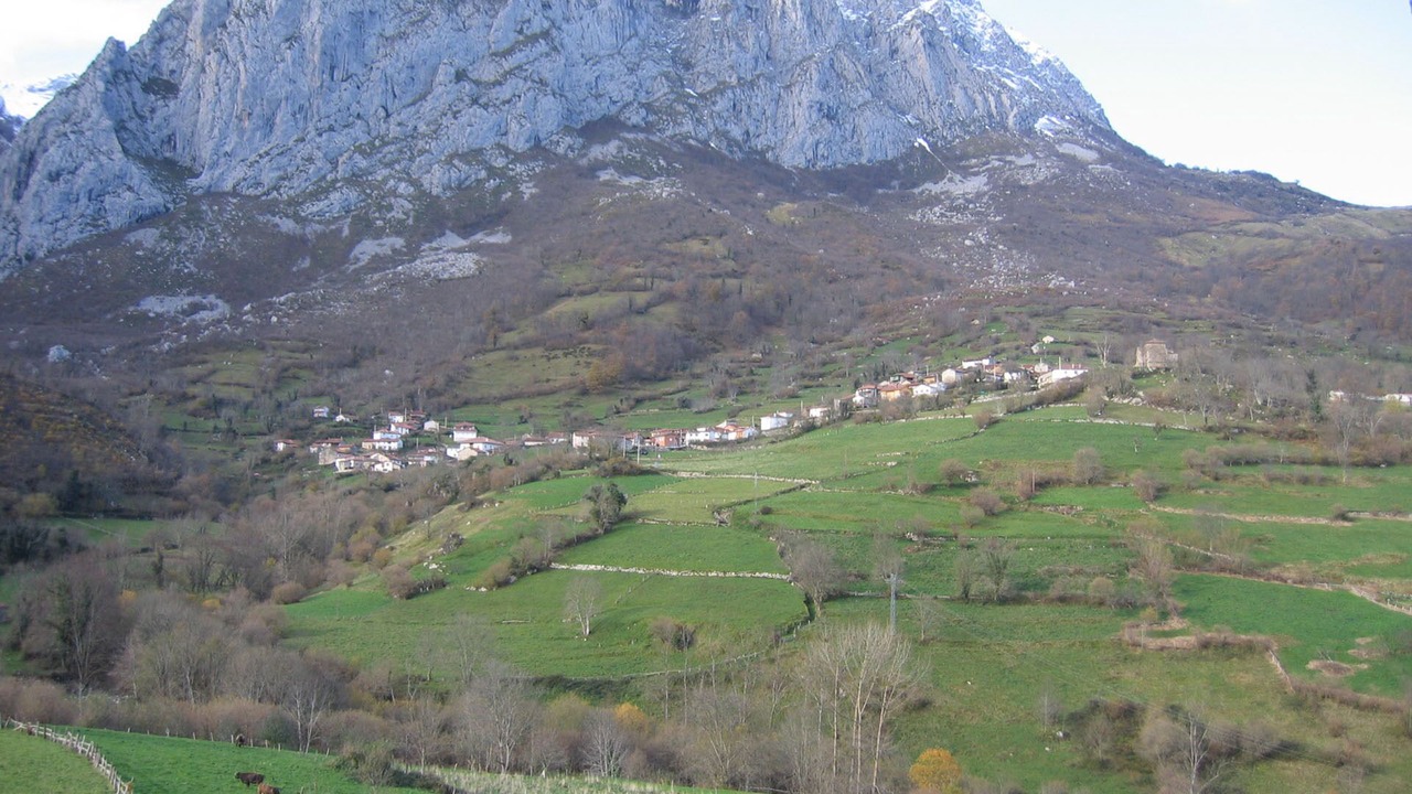 Photo of Outdoor in Ponga